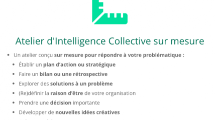 Atelier d'Intelligence Collective sur mesure