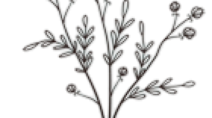 Accompagnement Bourgeons