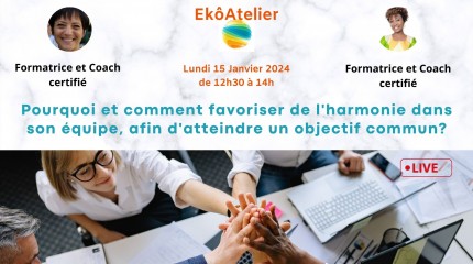 Pourquoi et comment favoriser de l'harmonie dans son équipe, afin d'atteindre un objectif commun?